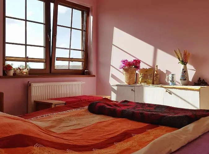 Semesterbostad Przytulne Mieszkanie W Sercu Kaszub *