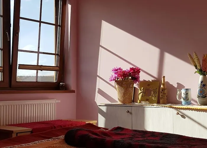 Przytulne Mieszkanie W Sercu Kaszub Semesterbostad *